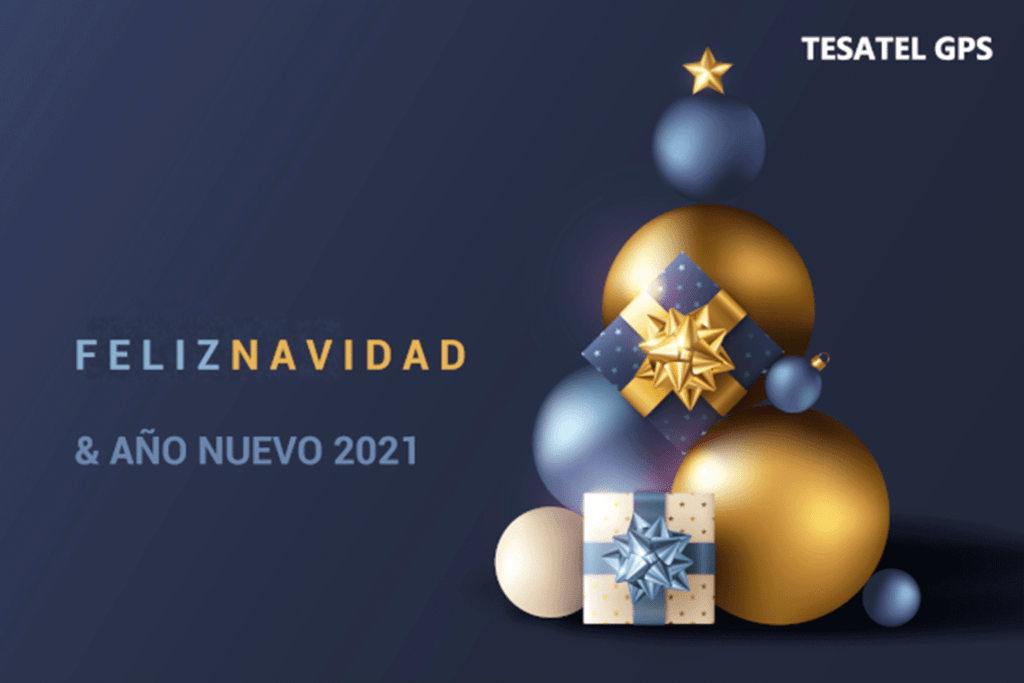 ¡Feliz Navidad y Próspero Año Nuevo 2021!