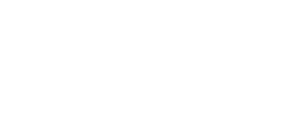 MOBINSA